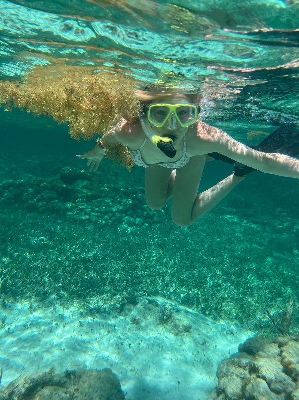 Full Day Snorkel Tour